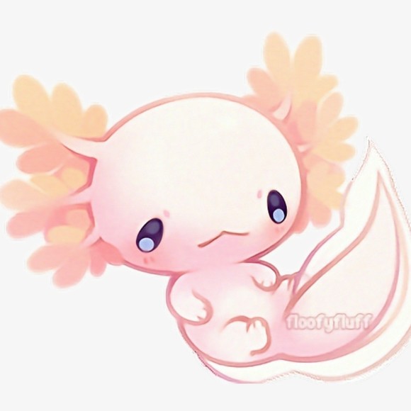 Meet your Posher, Lily - Picture 1 of 1